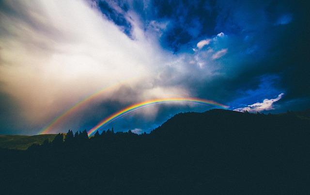 Reunited at The Rainbow Bridge