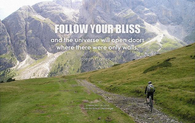 Follow Your Bliss through Open Doors