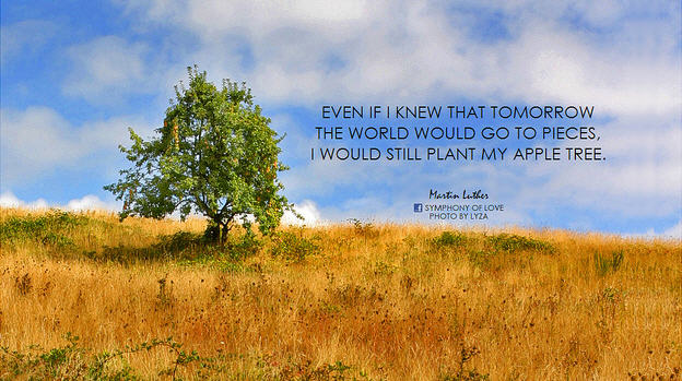 Even if I knew that tomorrow the world would go to pieces, I would still plant my apple tree.