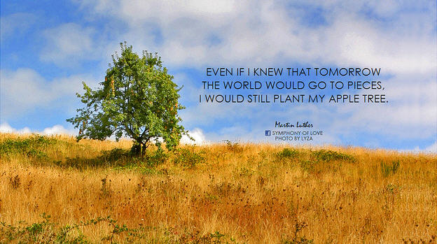 Even if I knew that tomorrow the world would go to pieces … Even if I knew that tomorrow the world would go to pieces …