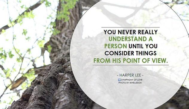 You never really understand a person until you consider things from his point of view … until you climb into his skin and walk around in it.