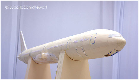 fuselage painting