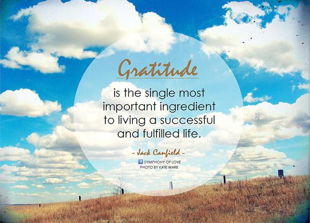 Gratitude is the single most important ingredient to living a successful and fulfilled life.