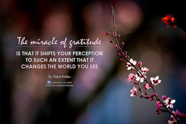 The miracle of gratitude is that it shifts your perception to such an extent that it changes the world you see.