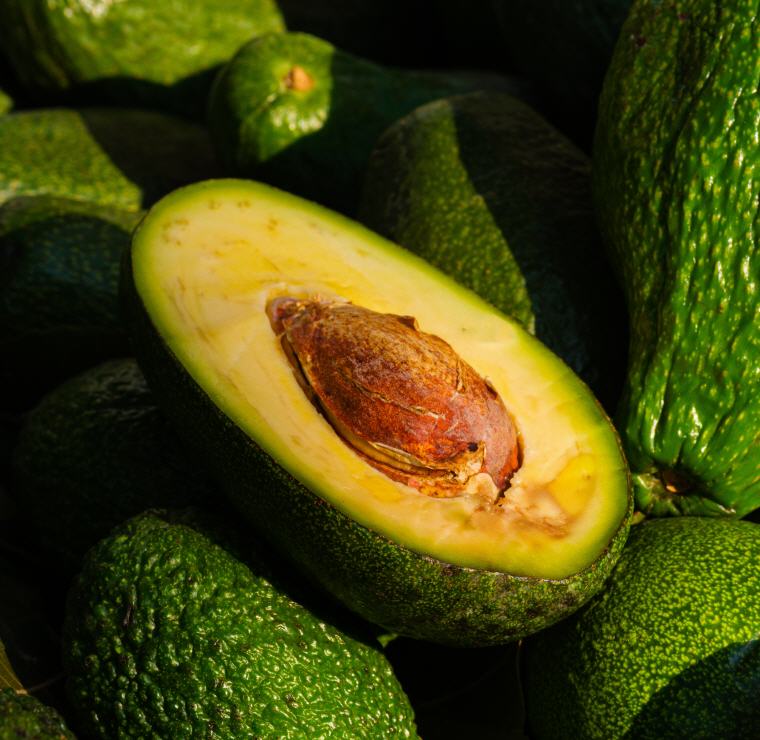 Avocado, 8 Fruits that can help us to lose weight