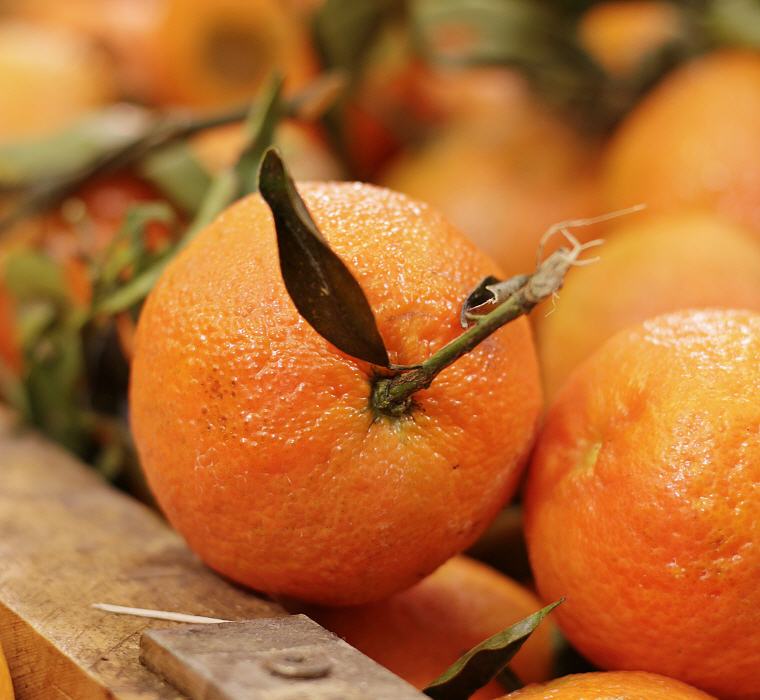 Orange, 8 Fruits that may Help in Weight management