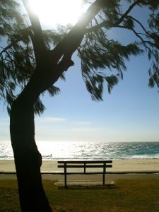 a quiet moment of a bench on the beach