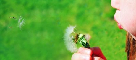 A girl blowing a dandelion