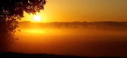 Sunrise over fields of the midwest